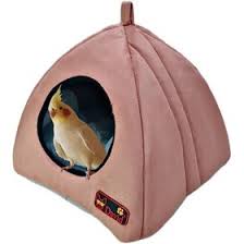 مخفیگاه عروس